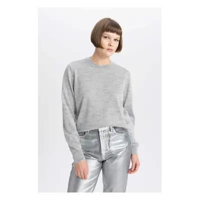 DEFACTO Crew Neck Shiny Fabric Basic Sweater