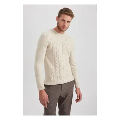 DEFACTO Standard Fit Crew Neck Sweater