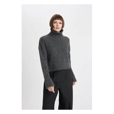 DEFACTO Crop Turtleneck Rib Sweater