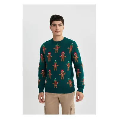 DEFACTO Christmas Themed Standard Fit Crew Neck Knitwear Sweater