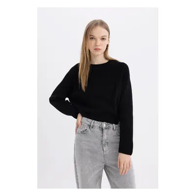 DEFACTO Cool Regular Fit Crew Neck Basic Sweater