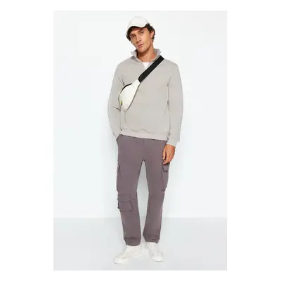 Trendyol Grey Regular/Normal Cut Stand Collar Zippered Sweatshirt