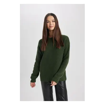 DEFACTO Regular Fit Crew Neck Basic Knitwear Sweater