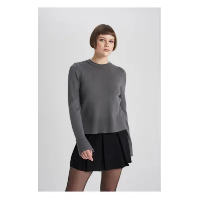 DEFACTO Regular Fit Crew Neck Sweater