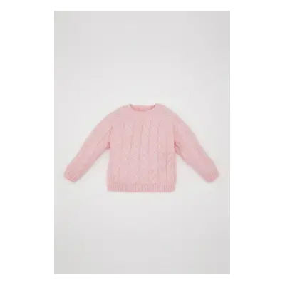 DEFACTO Baby Girl Crew Neck Sweater