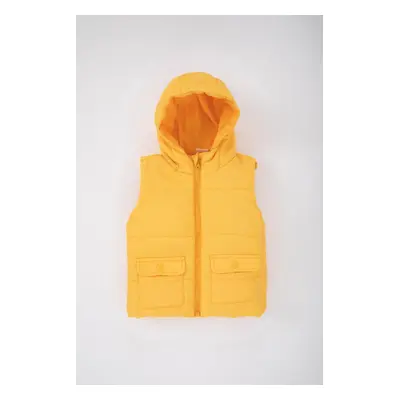 DEFACTO Baby Boy Hooded Vest