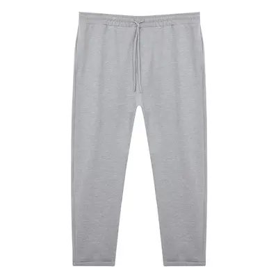 Trendyol Plus Size Gray Regular Fabric Trousers