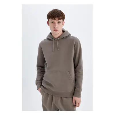 DEFACTO Regular Fit Hooded Basic Sweatshirt