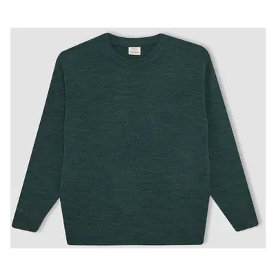 DEFACTO Boy's Crew Neck Knitwear Sweater