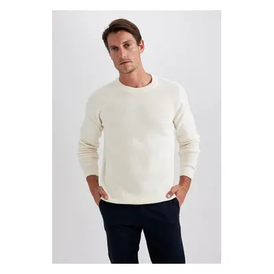 DEFACTO Standard Fit Crew Neck Sweater