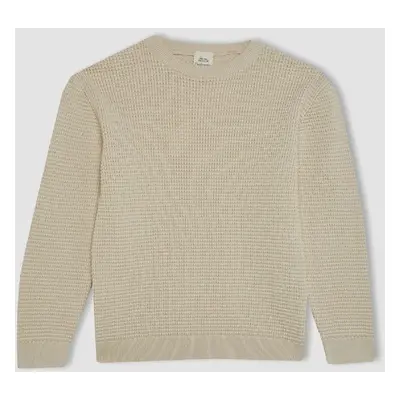 DEFACTO Boy's Crew Neck Sweater