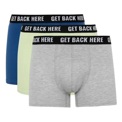 DEFACTO Regular Fit 3-pack Boxer