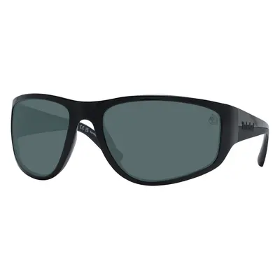 Timberland Sunglasses