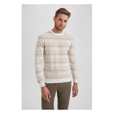 DEFACTO Standard Fit Patterned Crew Neck Sweater