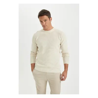 DEFACTO Standard Fit Crew Neck Sweater