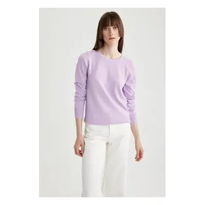 DEFACTO Regular Fit Crew Neck Basic Sweater