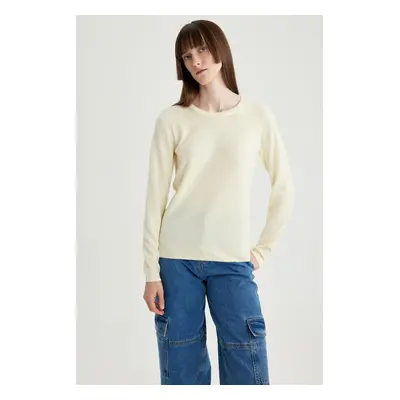 DEFACTO Regular Fit Crew Neck Basic Sweater