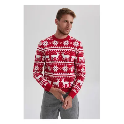 DEFACTO New Year's Themed Standard Fit Patterned Crew Neck Sweater