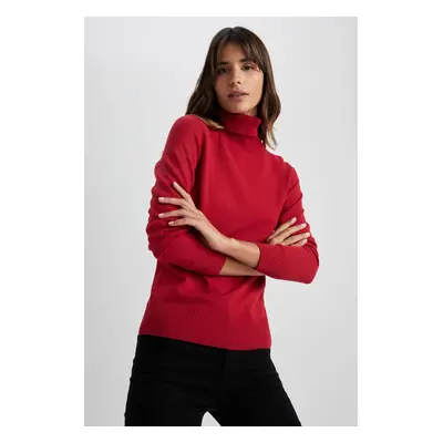 DEFACTO Regular Fit Turtleneck Basic Sweater