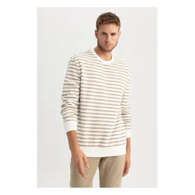 DEFACTO Comfort Fit Crew Neck Striped Sweatshirt