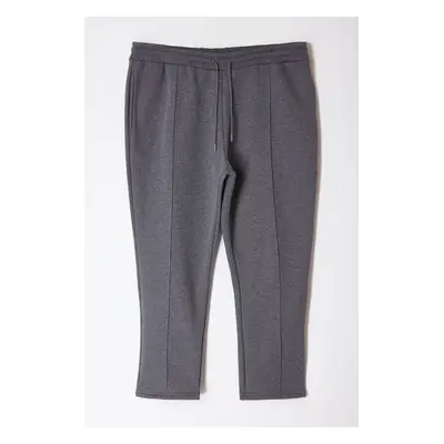 Trendyol Anthracite Plus Size Regular/Normal Cut Thick Sweatpants with Stitching Detail