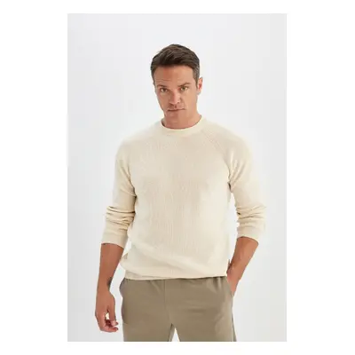 DEFACTO Standard Fit Crew Neck Thessaloniki Fabric Sweater