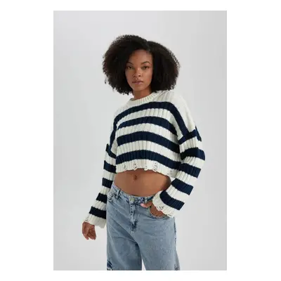 DEFACTO Regular Fit Crew Neck Sweater