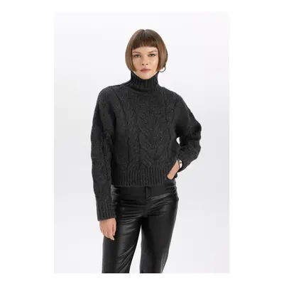 DEFACTO Relax Fit Half Turtleneck Sweater