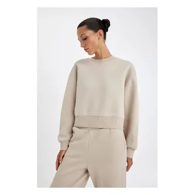 DEFACTO Boxy Fit Crew Neck Thick Basic Sweatshirt