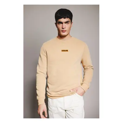 DEFACTO Regular Fit Crew Neck Basic Sweatshirt