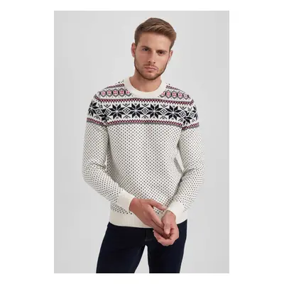 DEFACTO Christmas Themed Standard Fit Regular Cut Patterned Crew Neck Knitwear Sweater