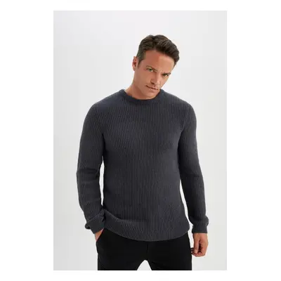 DEFACTO Standard Fit Crew Neck Thessaloniki Fabric Sweater