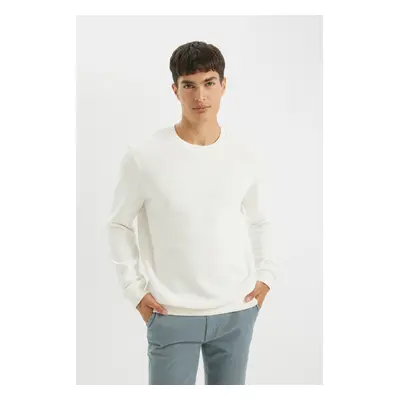 DEFACTO Regular Fit Crew Neck Thick Basic Sweatshirt