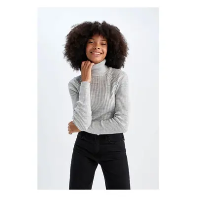 DEFACTO Slim Fit Turtleneck Sweater