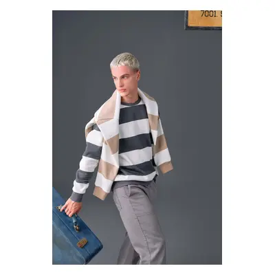 DEFACTO Boxy Fit Crew Neck Striped Sweatshirt