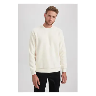 DEFACTO Regular Fit Crew Neck Plush Sweatshirt