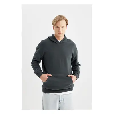 DEFACTO Comfort Fit Hooded Basic Sweatshirt