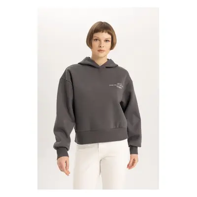 DEFACTO Relax Fit Hooded Thick Sweatshirt