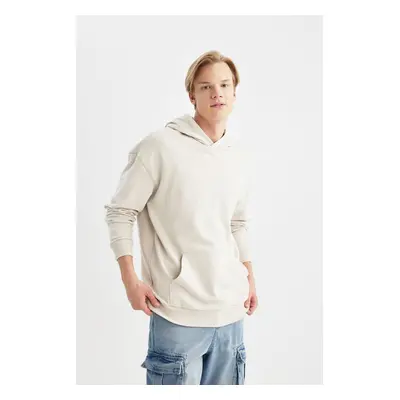 DEFACTO Comfort Fit Hooded Basic Sweatshirt