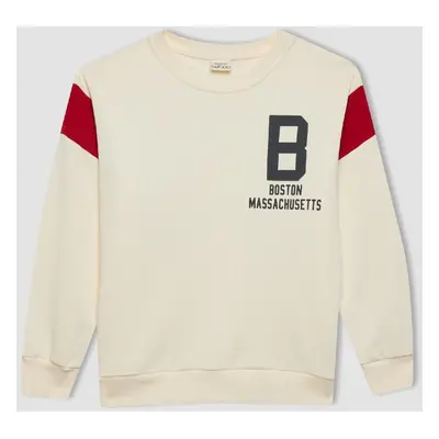 DEFACTO Boy's Crew Neck Printed Thick Sweatshirt