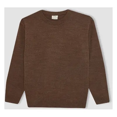 DEFACTO Boy's Crew Neck Knitwear Sweater