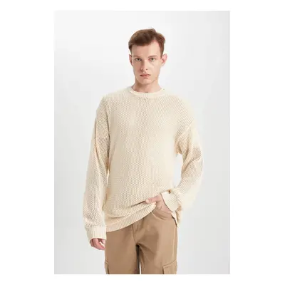 DEFACTO Regular Fit Crew Neck Knitwear Sweatshirt