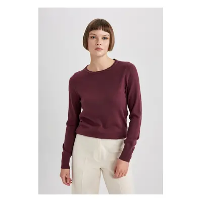 DEFACTO Regular Fit Crew Neck Extra Soft Cashmere Textured Basic Sweater