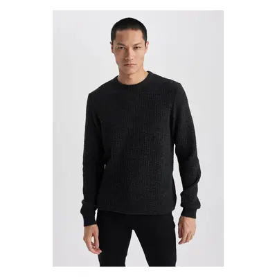 DEFACTO Standard Fit Crew Neck Knitwear Sweater