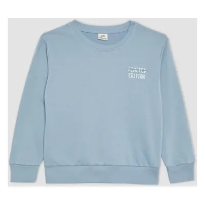 DEFACTO Boy's Regular Fit Crew Neck Sweatshirt