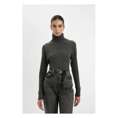 DEFACTO Regular Fit Turtleneck Basic Sweater