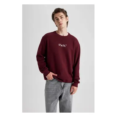 DEFACTO Regular Fit Crew Neck Sweatshirt