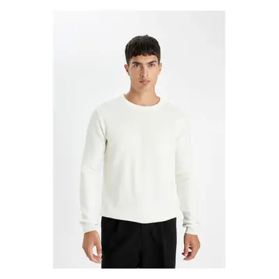 DEFACTO Standard Fit Crew Neck Sweater