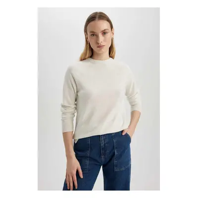 DEFACTO Regular Fit Crew Neck Basic Sweater