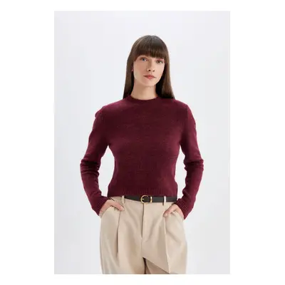 DEFACTO Regular Fit Crew Neck Premium Basic Plain Crop Sweater